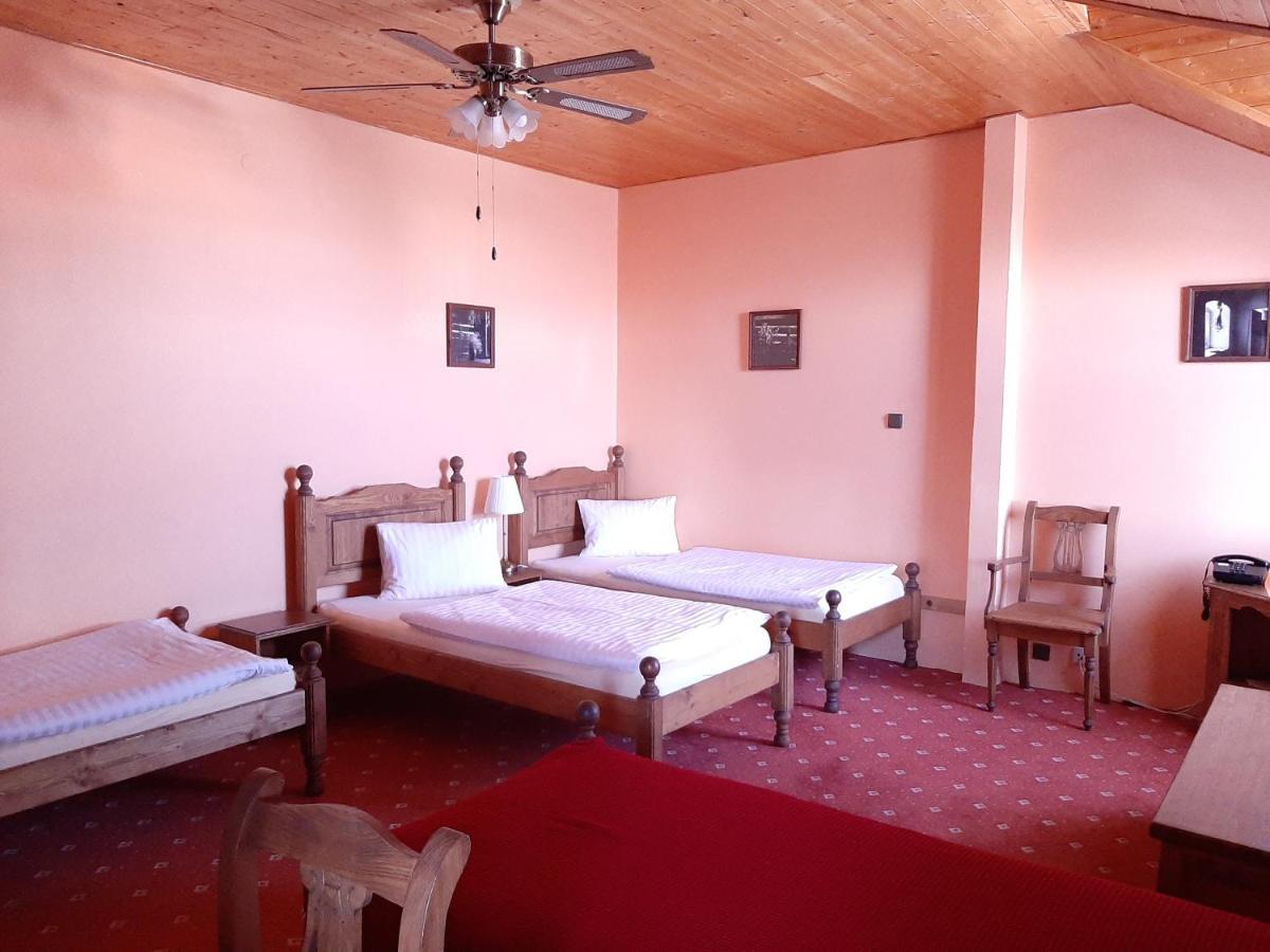 garni Hotel ASAS*** Most Buitenkant foto